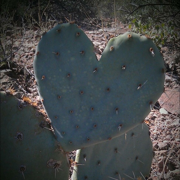 Meet your Posher - Picture 2 of 2